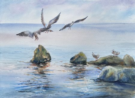 Akvarel maleri Måger af Galina Landbo malet i 
