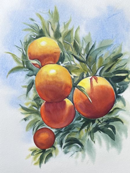 Akvarel maleri Appelsiner af Galina Landbo malet i 